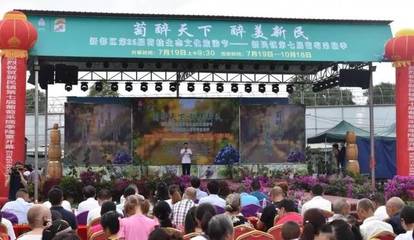 周末了!約起!新都區(qū)新民鎮(zhèn)“萄醉天下·醉美新民”葡萄采摘季來(lái)啦