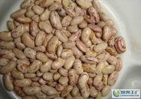 阿榮旗那吉鎮(zhèn)忠山農(nóng)副土特畜產(chǎn)品收購(gòu)部_世界工廠(chǎng)網(wǎng)全球企業(yè)庫(kù)