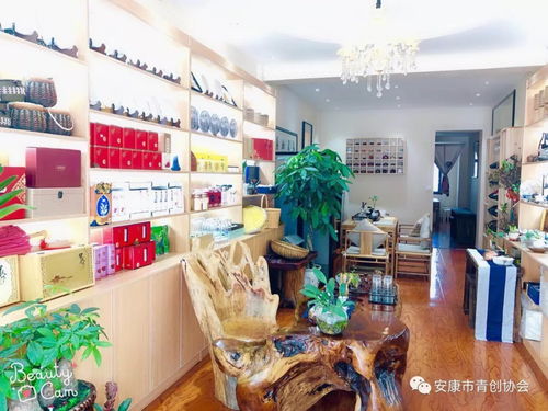 以協(xié)會為抓手 推動企業(yè)發(fā)展 青創(chuàng)走訪側(cè)記 石泉站