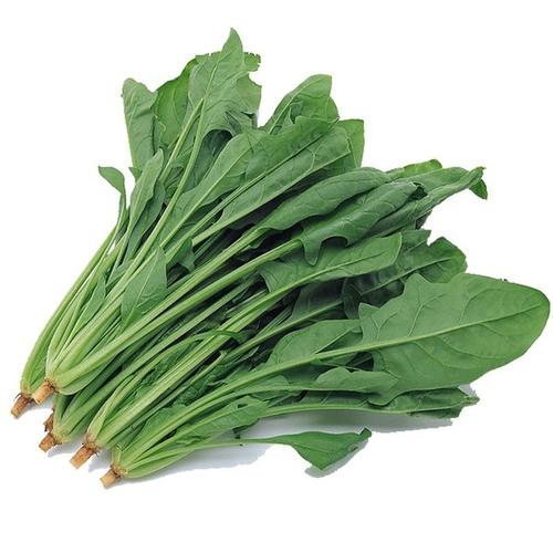 任丘特產(chǎn)小吃網(wǎng),農(nóng)副產(chǎn)品