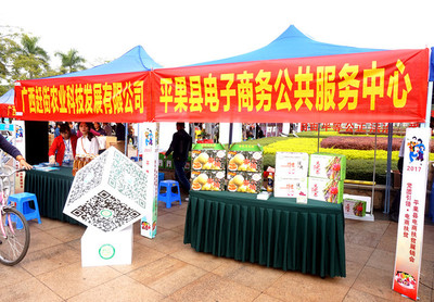 整合優(yōu)勢(shì)資源,促進(jìn)電商融合,廣西平果“電商扶貧”動(dòng)起來